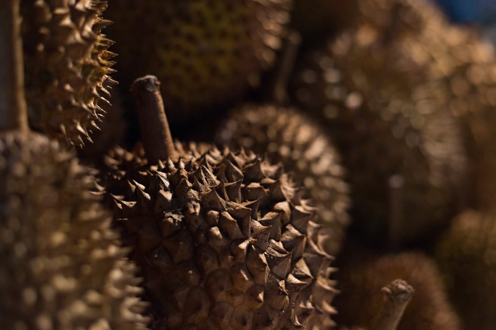 Moment.us travel photography Borneo 11