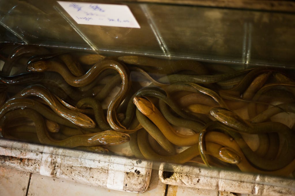 Moment.us travel photography Borneo Kinabalu 6