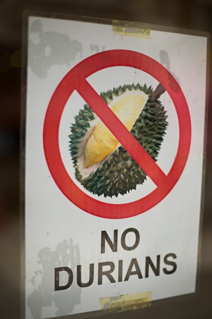 Moment.us travel photography Borneo 9