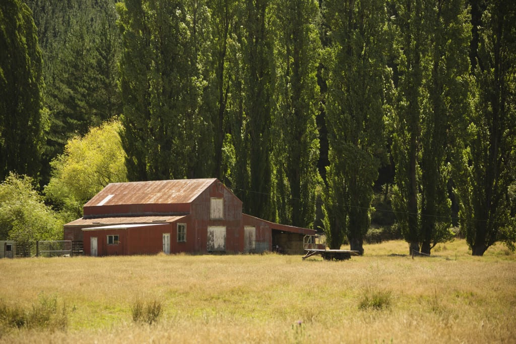 Moment.us travel photography New Zealand 1