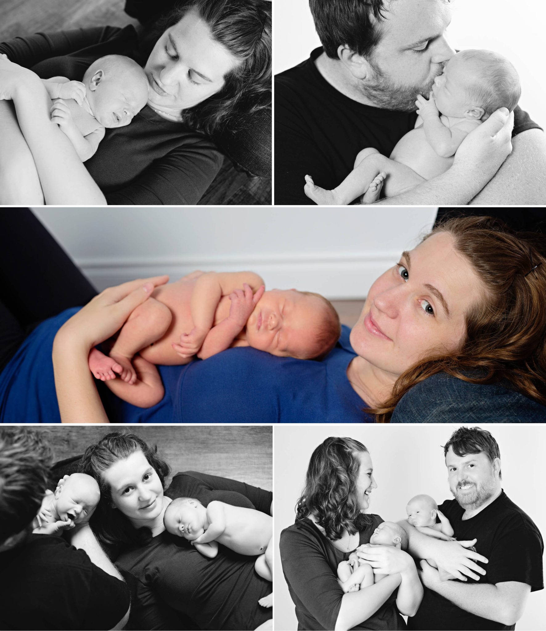 Harrigan - New Family