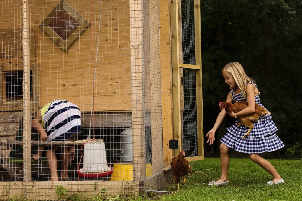 girl chasing escaping chickens during modern Cornwall family photography session