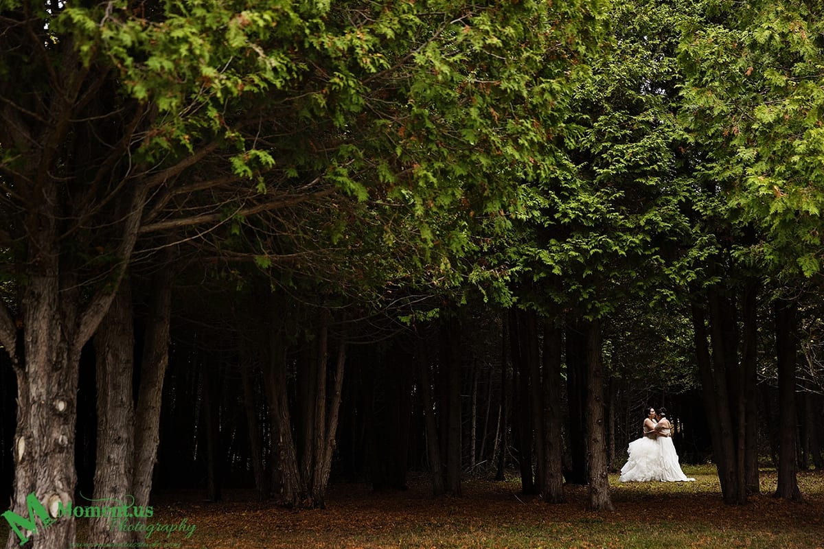 Alexandria wedding - brides cuddling in forest