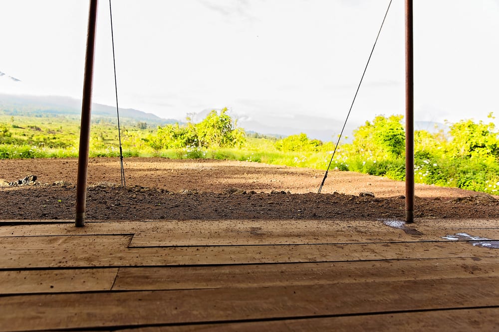 Moment.us travel photography Virunga gorillas 2