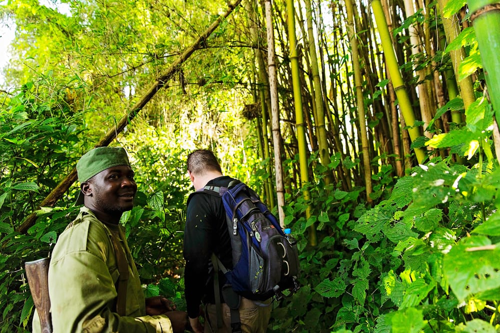 Moment.us travel photography Virunga gorillas 3
