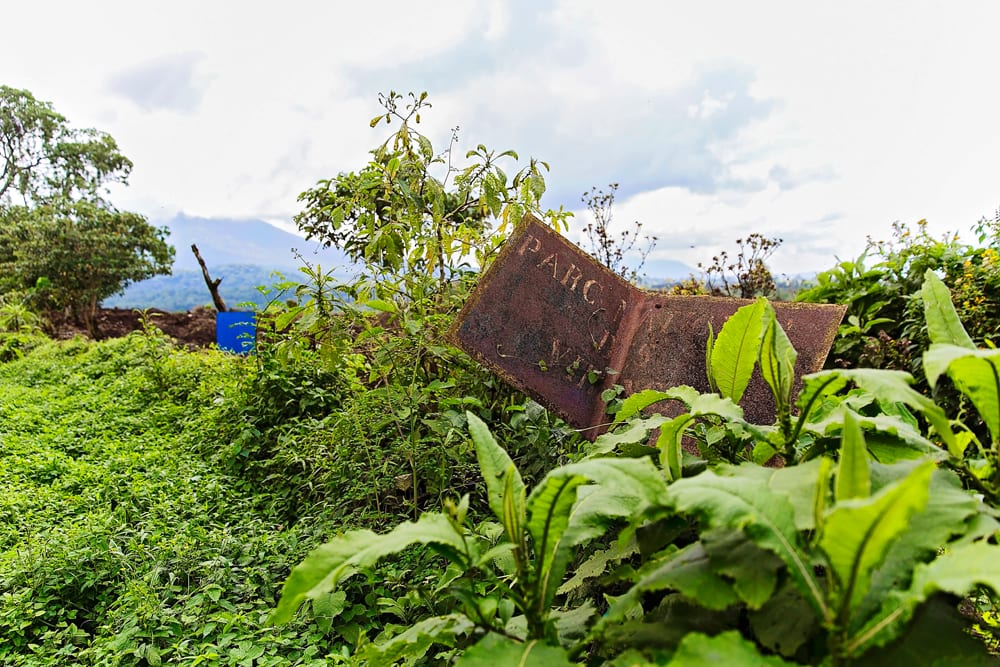 Moment.us travel photography Virunga gorillas 9