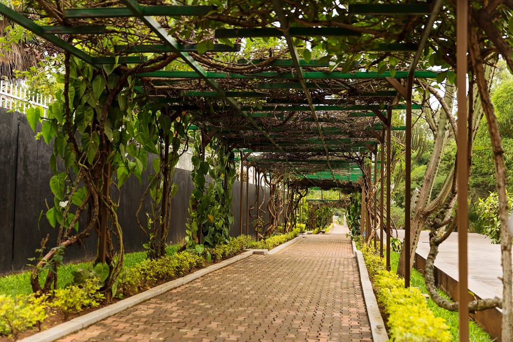 Moment.us Photography travel photography Rwanda 18