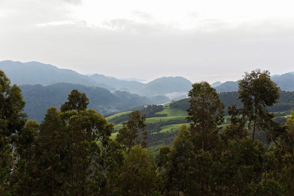 Moment.us Photography travel photography Rwanda 22