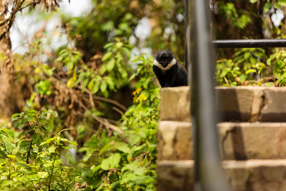 Moment.us Photography travel photography Rwanda 24