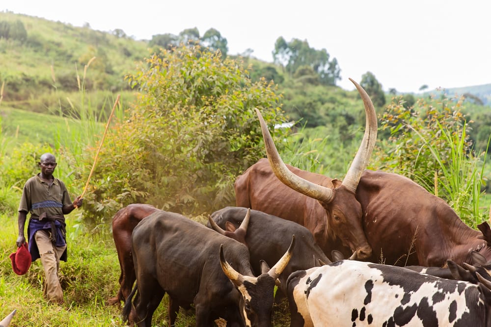 Moment.us travel photography QENP 2