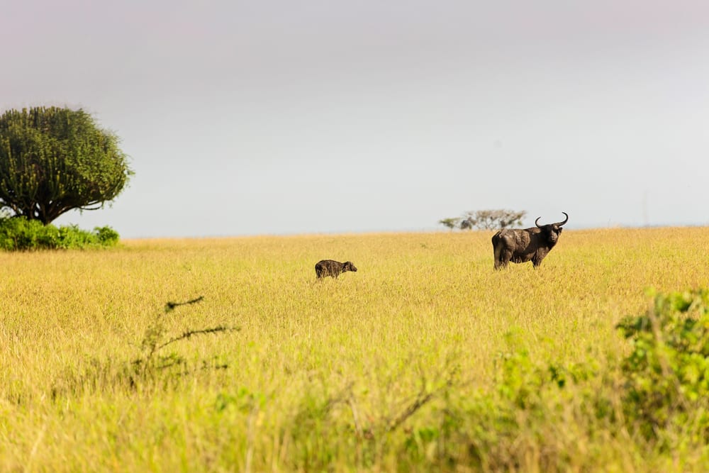 Moment.us travel photography QENP 5
