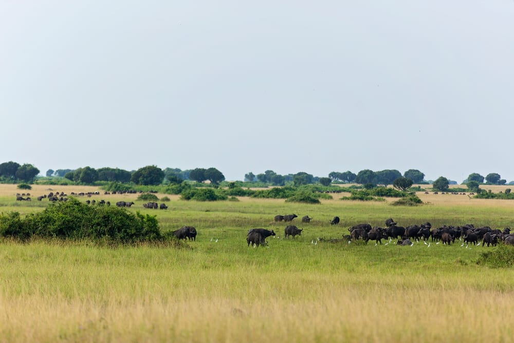 Moment.us travel photography QENP 6