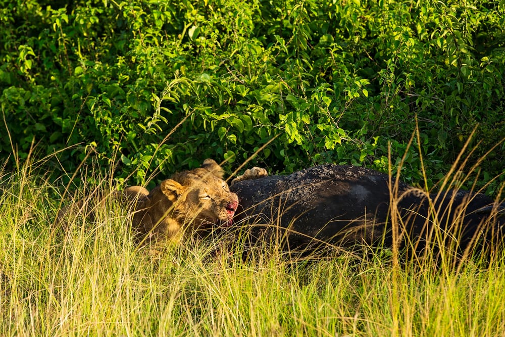 Moment.us travel photography QENP 7