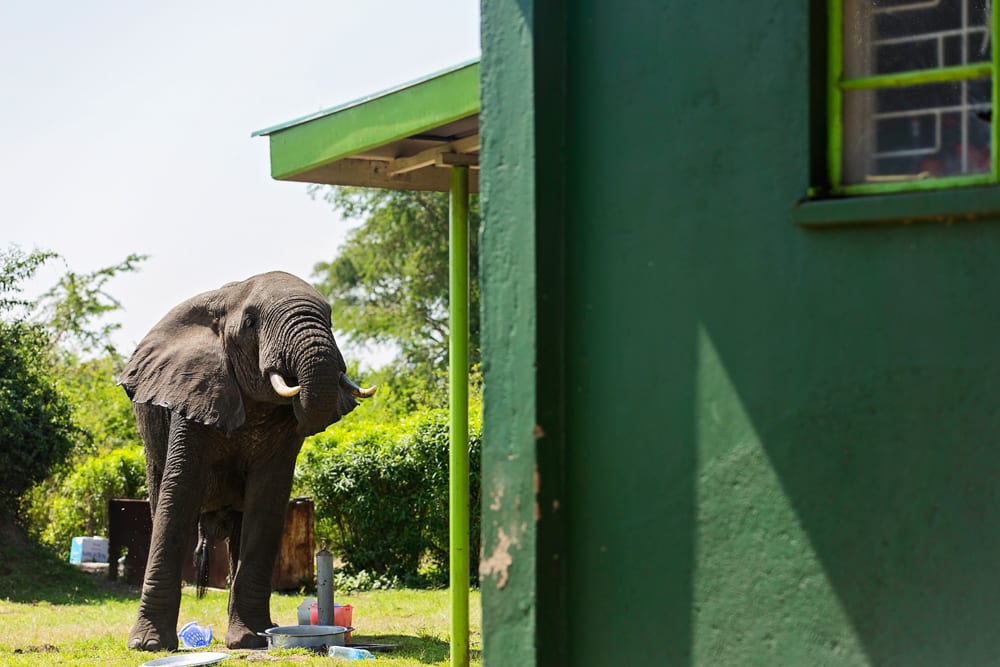 Moment.us travel photography QENP 8