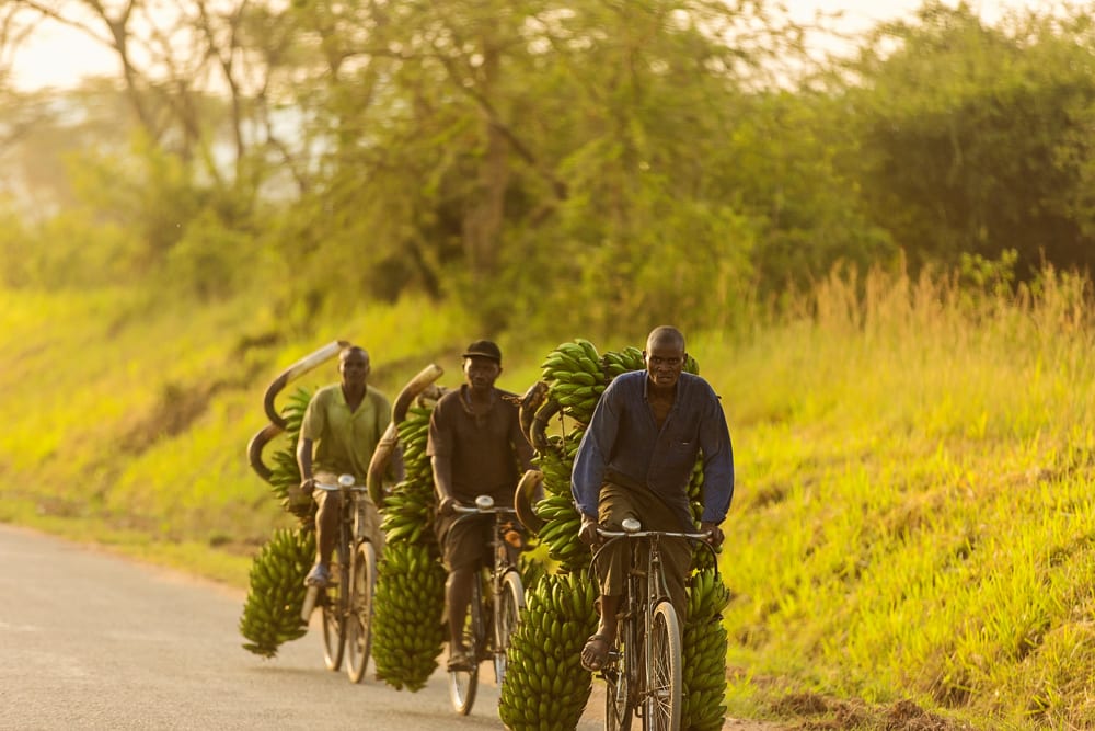 Moment.us travel photography QENP 9