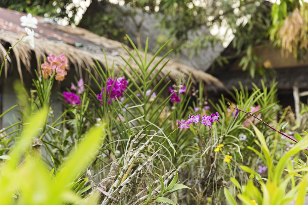 Moment.us travel photography philippines 10