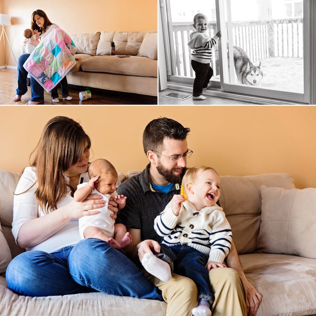 Ottawa lifestyle photography - husky in the window