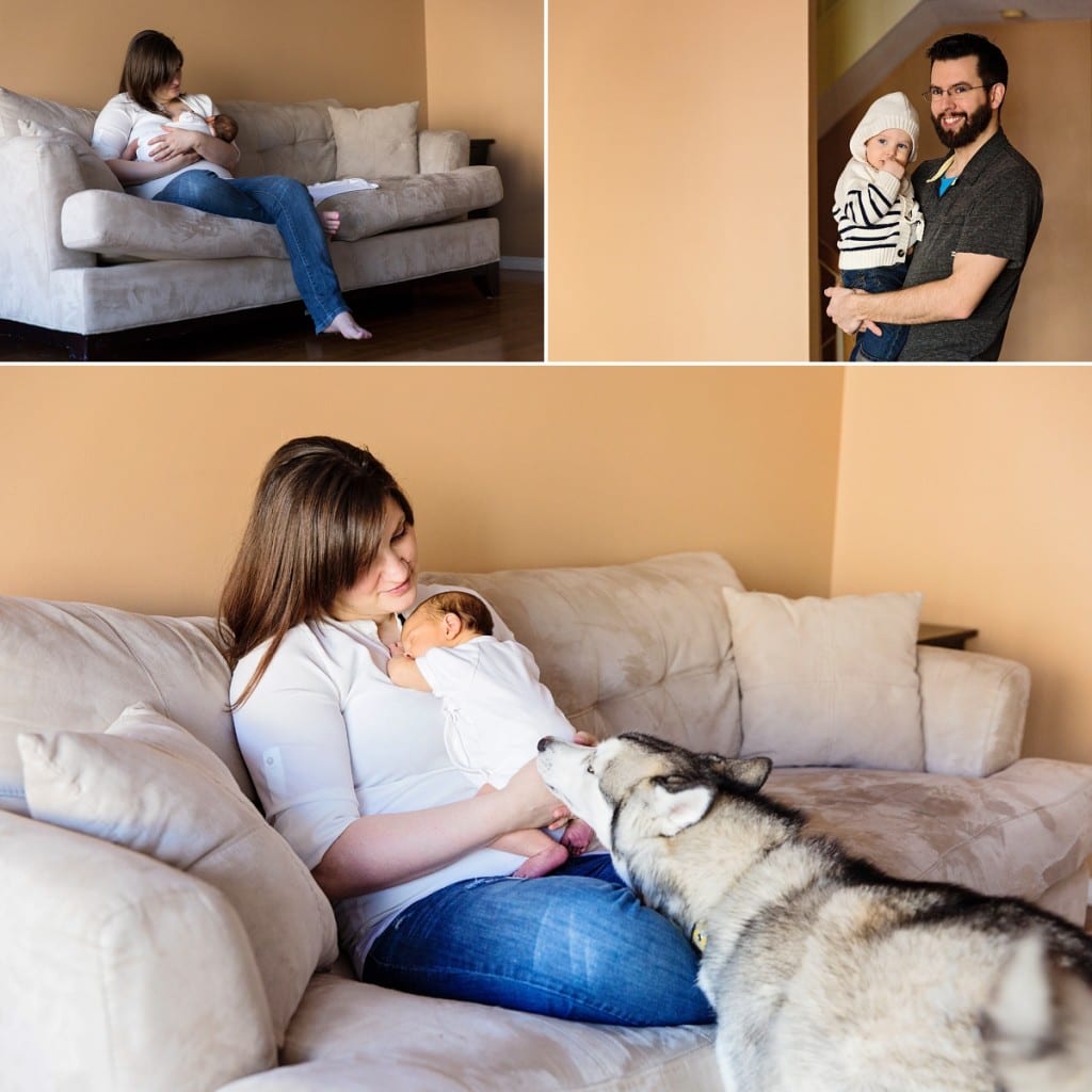 Ottawa lifestyle photography - husky investigating baby