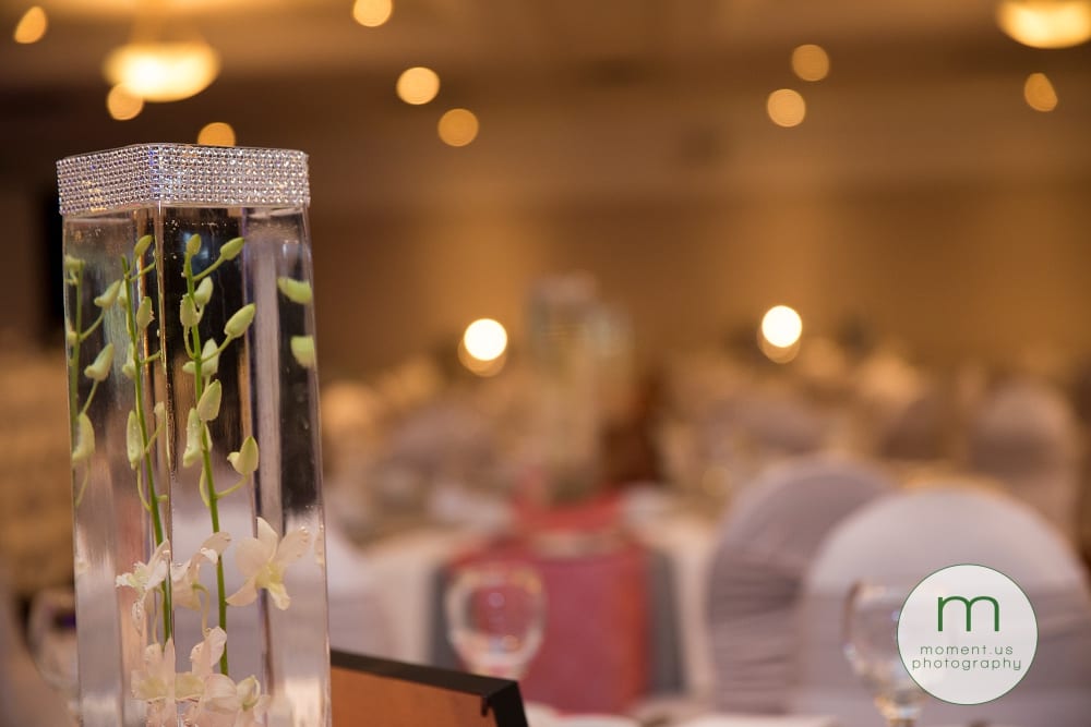orchids in diamanté vases