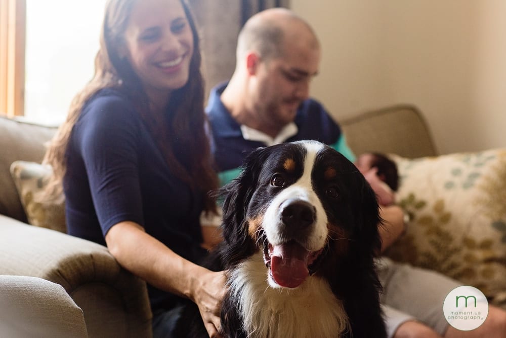Cornwall family with newborn and dog