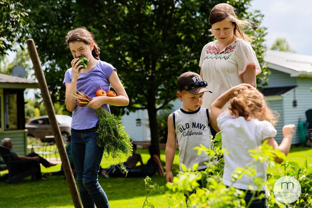 Cornwall children picking vegetables