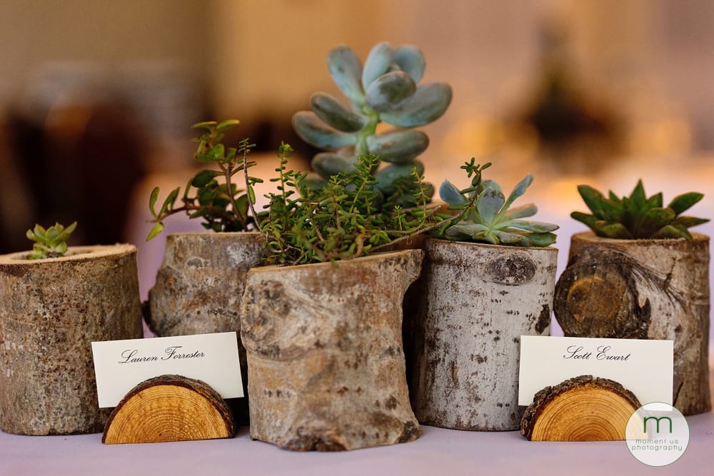 1000 Islands wedding - 1