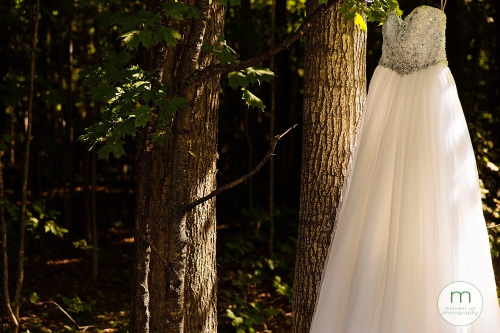 dress hanging in forest
