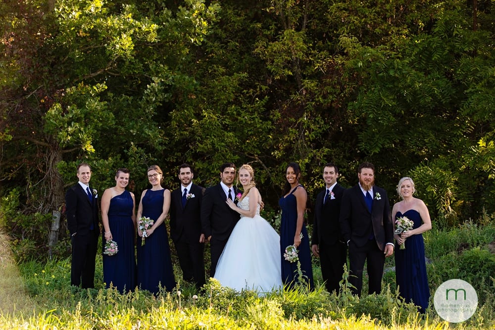 wedding party in field