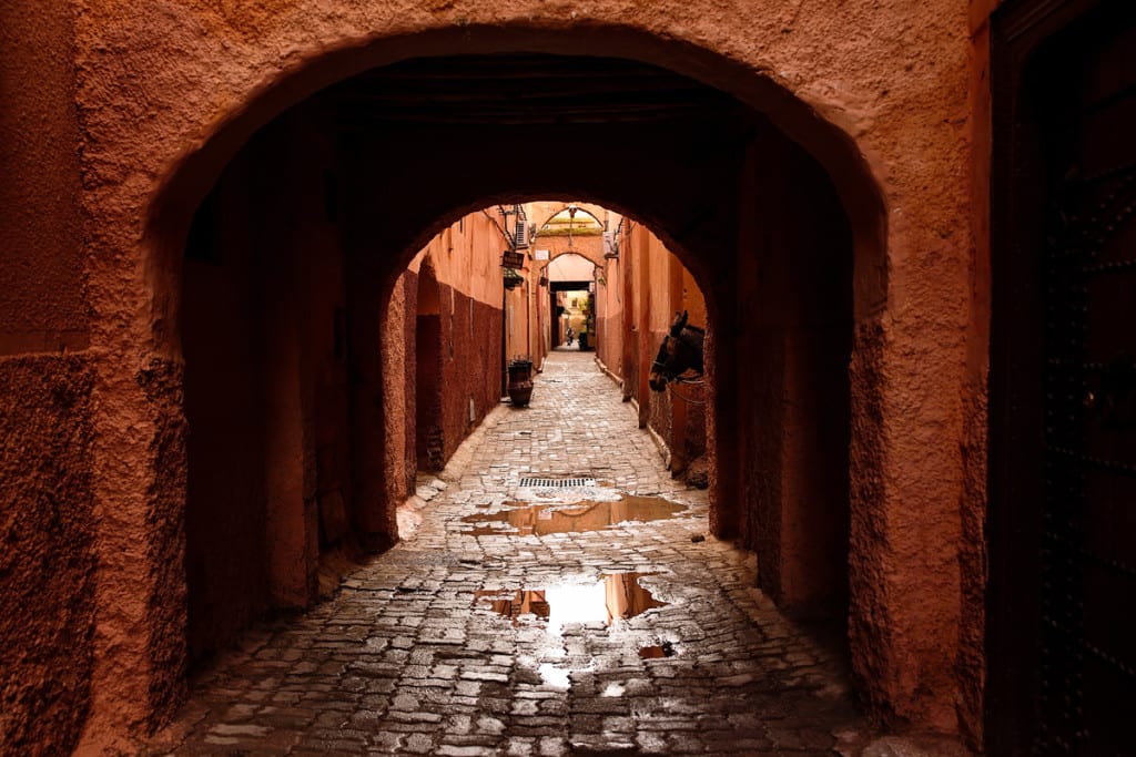 Wedding photographer in Morocco - donkey in alleyway