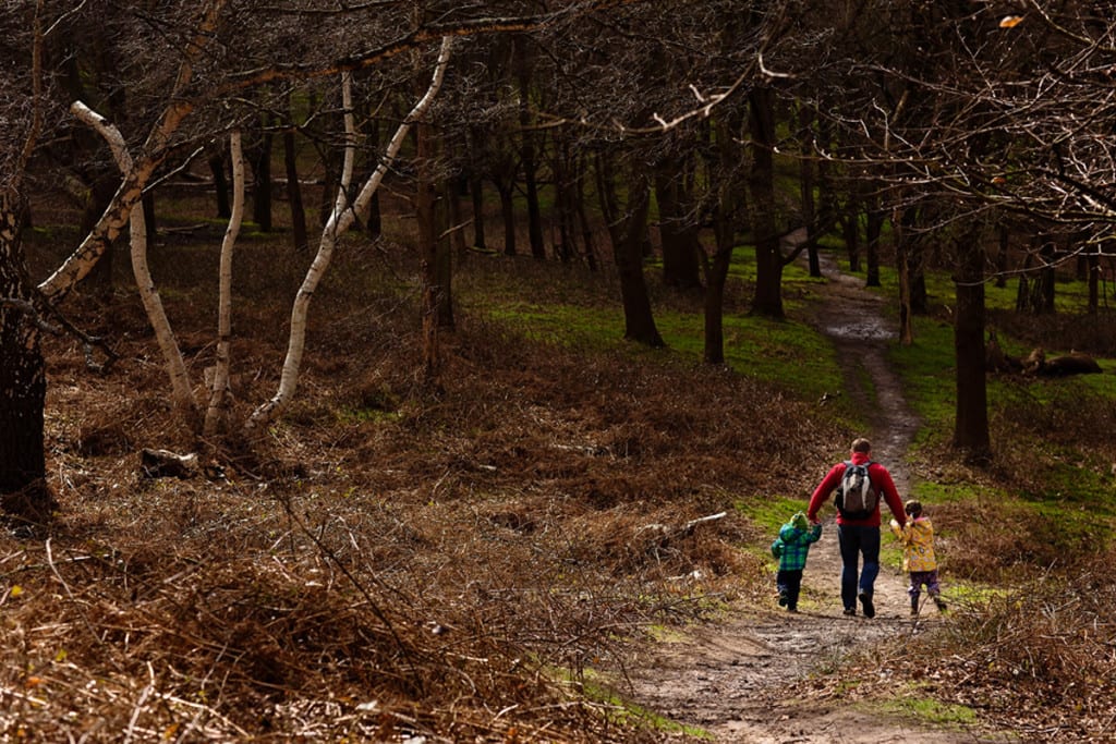 Dad walking with two kids in Richmond Park during London family photography session