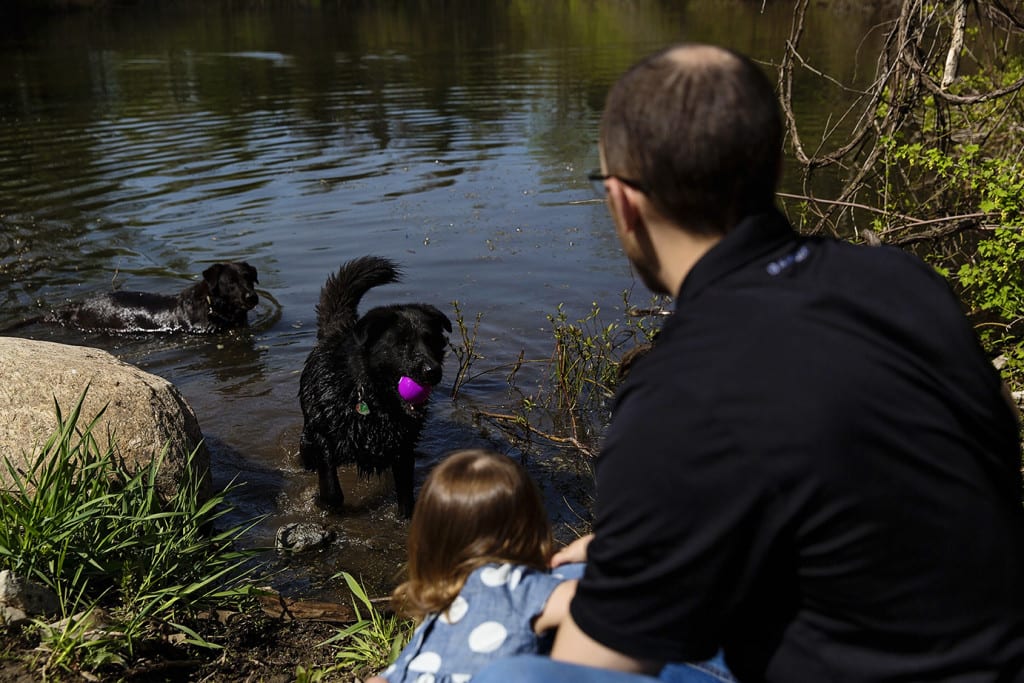 dad and daughter playing with dog during family portrait session