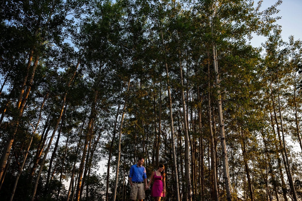Couple in tree stand rural ontario engagement session