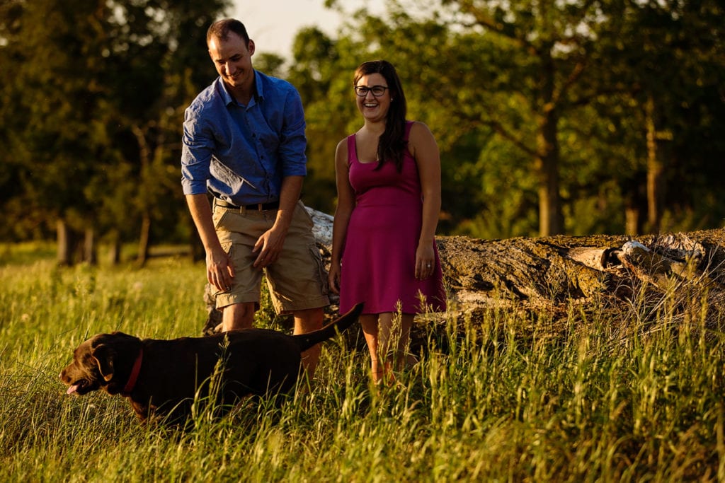 Couple with chocolate lab dog in rural Ontario engagement session