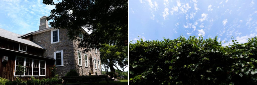 Beautiful stone country house and greenery