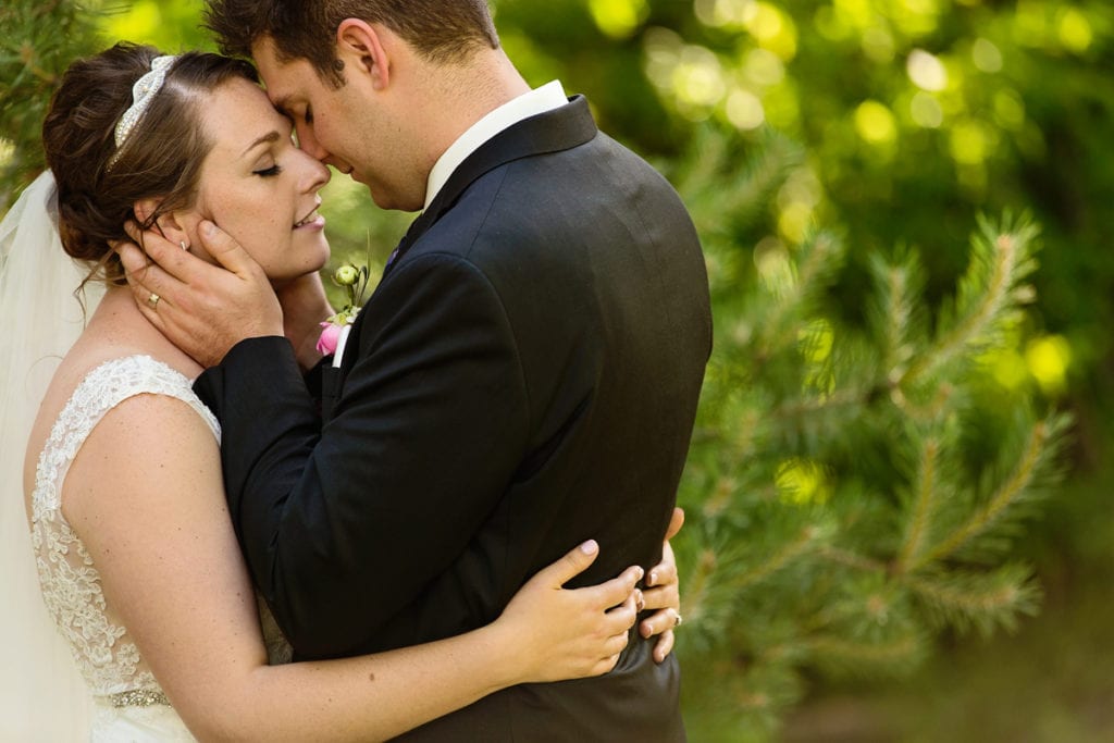 Bride and groom embracing in greenery in Williamstown wedding