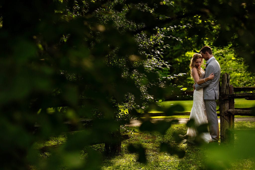 Bride and groom through lush greenery at Strathmere wedding