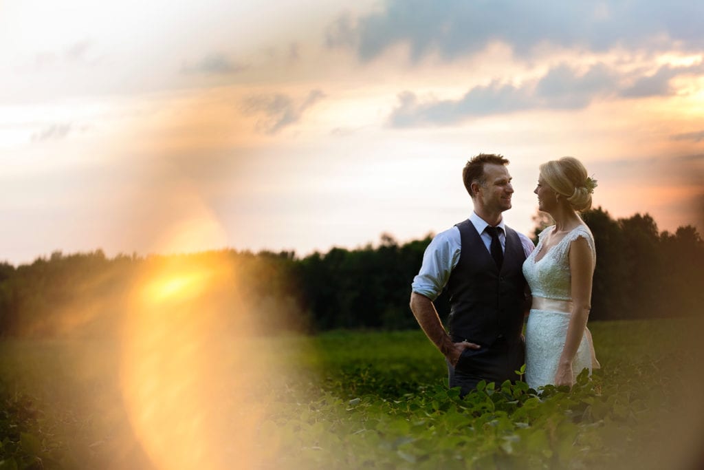 Bride and groom in tall green grass with sunburst