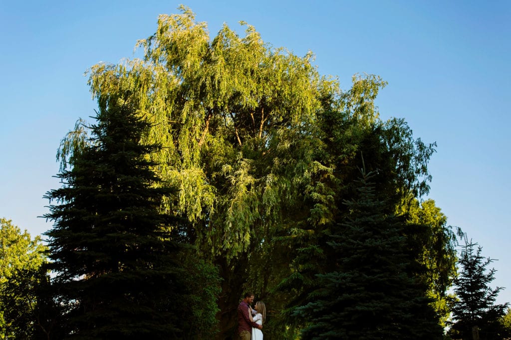 Beautiful couple in front of large trees in Rural Cornwall engagement session