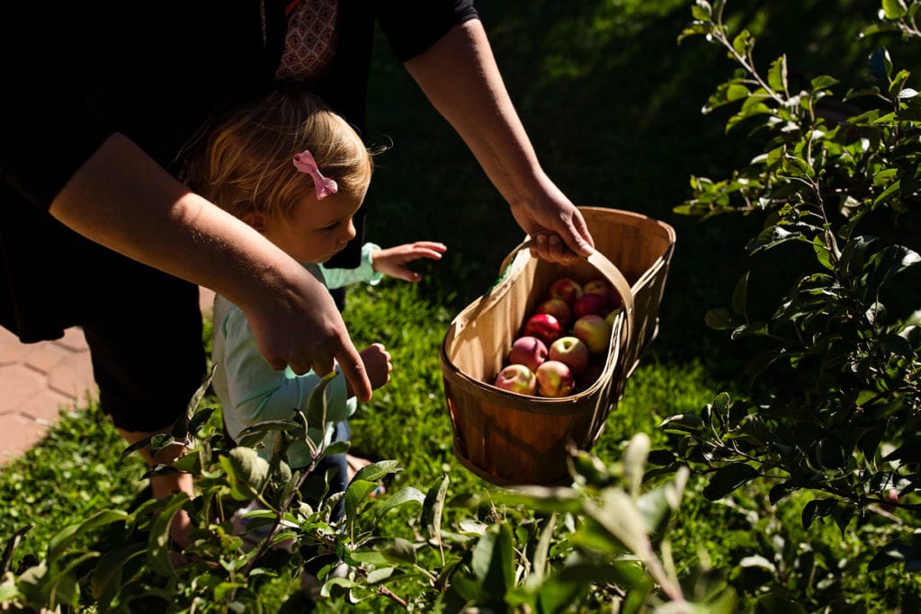little girl picking apples with grandma