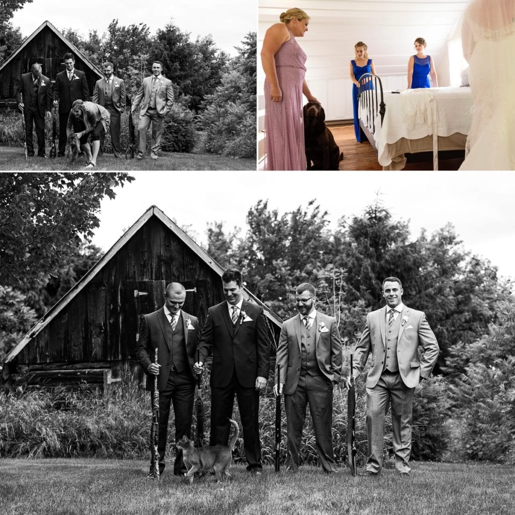 cat and dog get in Williamstown wedding photos