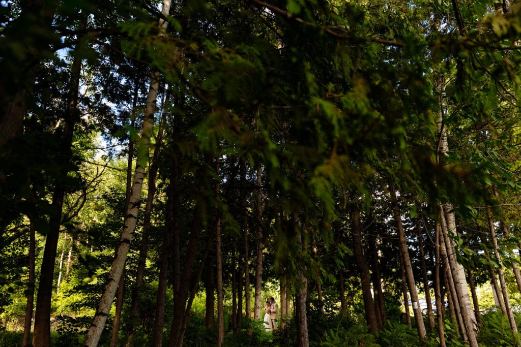 newly married couple in tree stand of pine trees at Calabogie wedding
