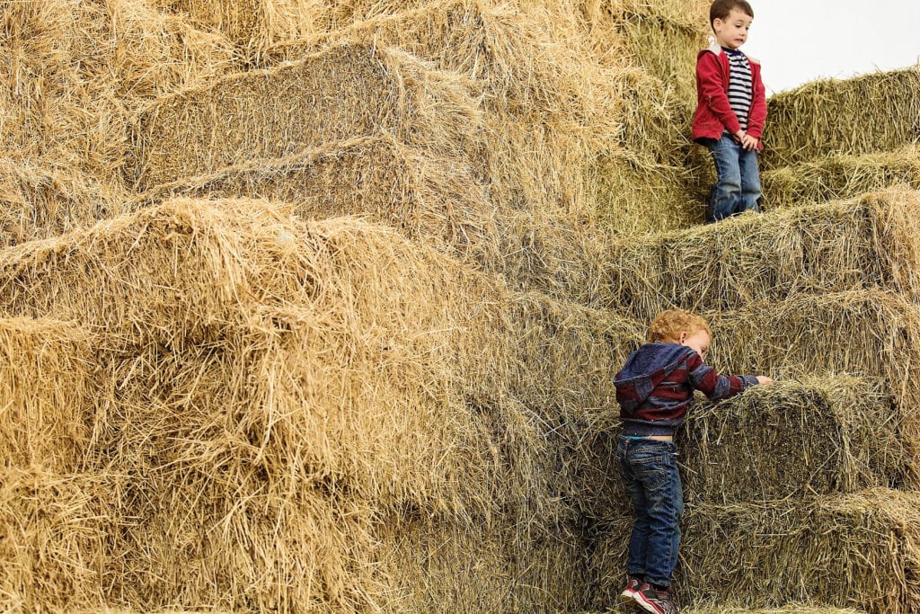 little boys climbing mountain of hay bales