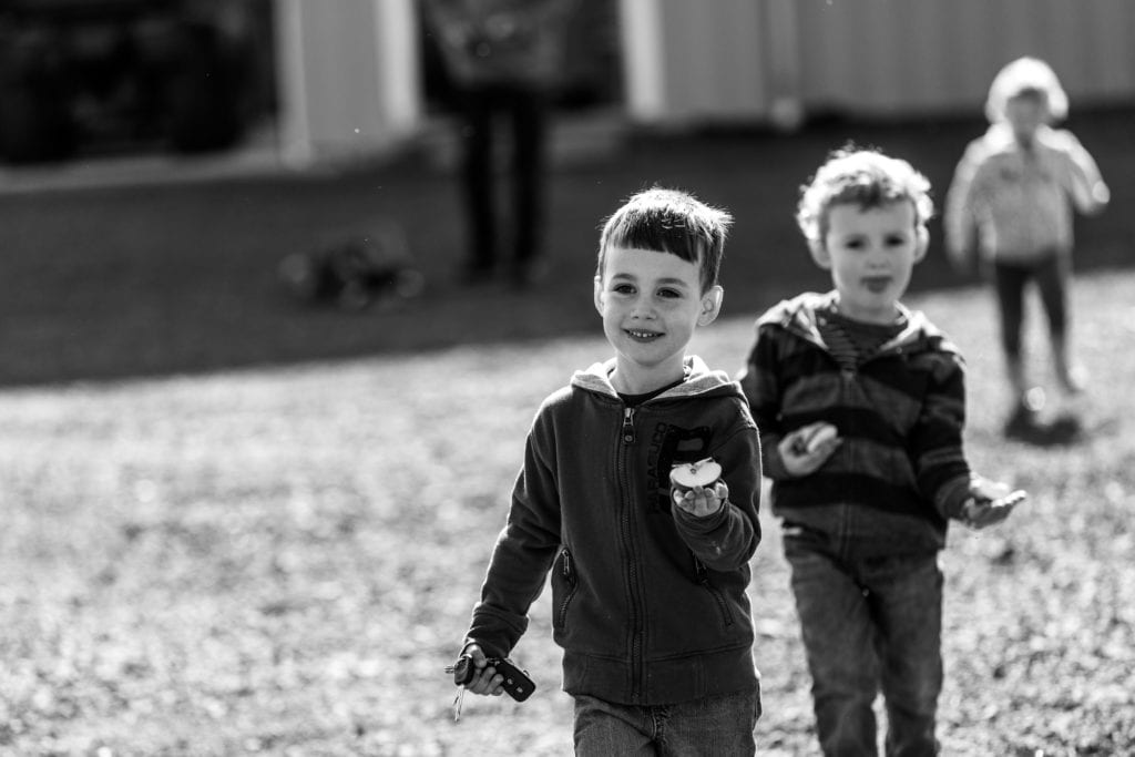 little boy cousins bringing sliced apples to feed horses during storytelling family session