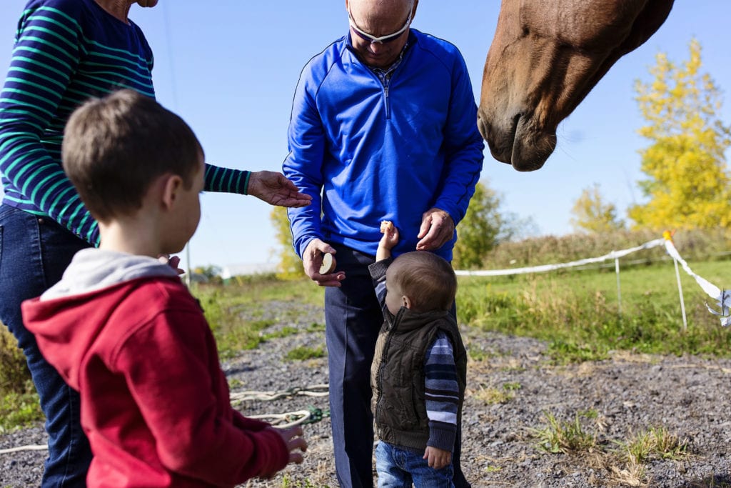 man in bright blue sweater and woman feeding horse with grandsons