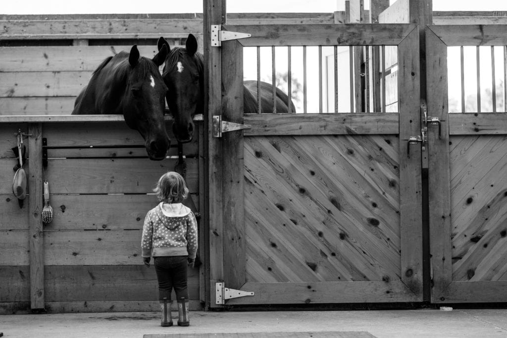 little girl looking up at horses in horse stall at storytelling photo session at horse stable