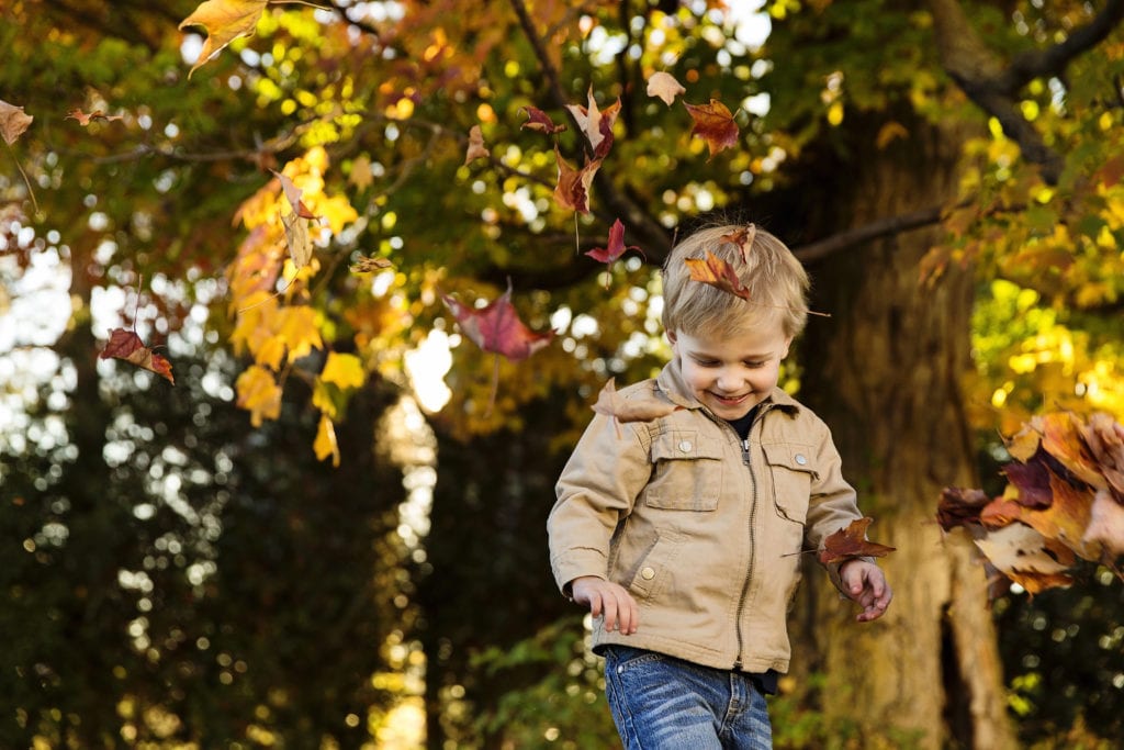 little blonde boy playing in autumn leaves during fall family photo shoot