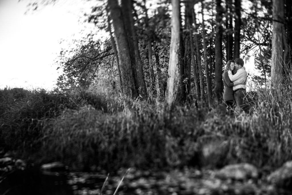 Couple in rural tree stand with tall grass in Martintown engagement session