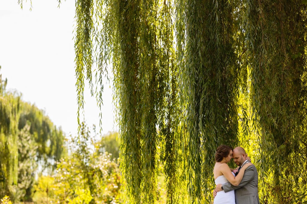 bride looks at groom while he holds her under a willow tree