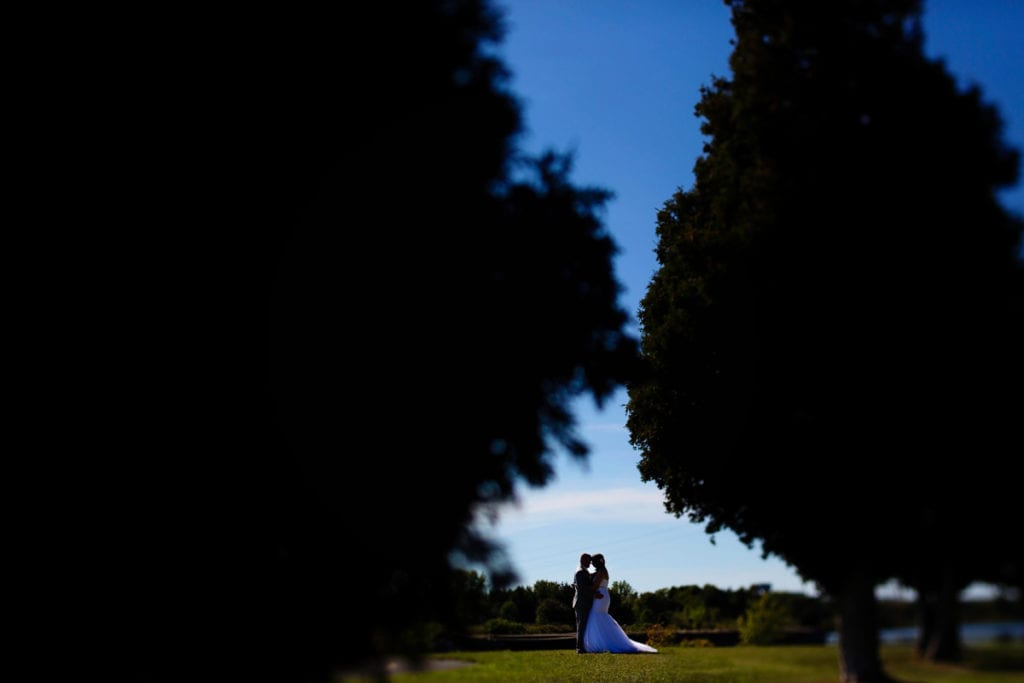 Bride and groom framed by cedars on sunny day
