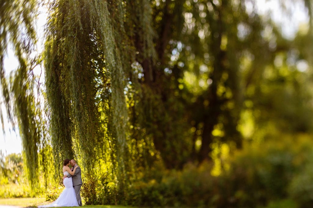 Bride and groom cuddle under willow tree